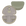 salvia